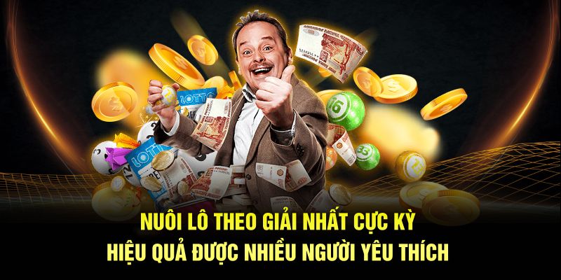 Nuôi lô theo giải nhất cực kỳ hiệu quả được nhiều người yêu thích